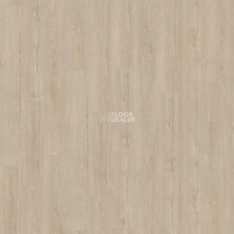 Kronotex Exquisit 8мм d41182 Дуб Горизонт кремовый фото 6 | FLOORDEALER